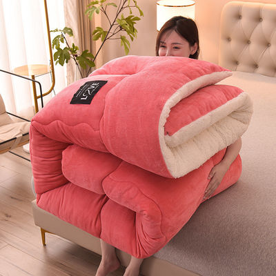 Τετράχρονη Παγκόσμια Πίσω Εναλλακτικό Quilted Comforter Πανδύα Εισαγωγή για Όλη την Σεζόν