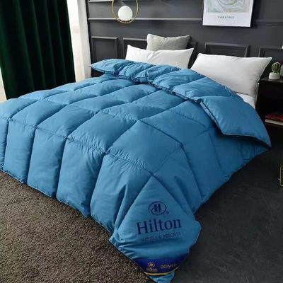 Hilton Duvet Double Spring Fall Winter Quilt Core και Hot Style για μικροεπιχειρήσεις